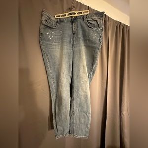 Lane Bryant Skinny Jeans